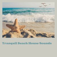 Meditation Support - symphony orchestra sound sun beach sand summer