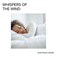 Quiet Ocean Waves - Sleep Music Dream