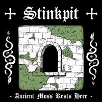 Surrounded by Radiance - Stinkpit
