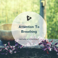 Positive Thinking - Nature Atmospheres & Yoga