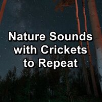 Relax with Crickets for 10 hours Loopable - Crickets