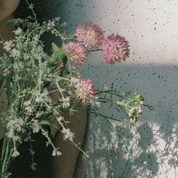 Spring's Regard - Kang Butter