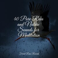 Creek, Waterflow, Stream - Spa & Spa & Crying & Colic Relief & Rain Sounds Factory STHLM