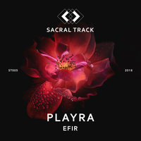 Portal - PlayrA