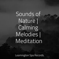 A Time for Relaxation - Lullabies for Deep Meditation & Rain Sounds ACE & Zen Meditate