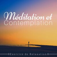Musique paisible - Oasis de Méditation