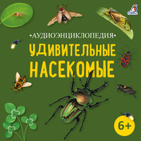 Предупреждающие знаки - Ксения Огнева