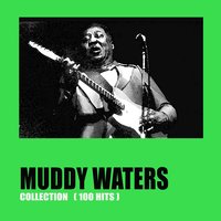 Come Home Baby - Muddy Waters