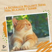 Ola Ciudad - #Calmante & Musica Relajante Para Dormir