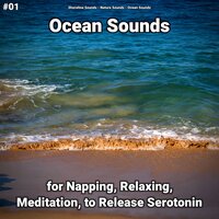 Ocean Sounds Part 83 - shoreline sounds & Nature Sounds & Ocean Sounds