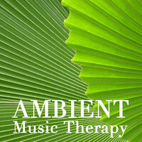Paradise for Two - Ambient Music Therapy Room