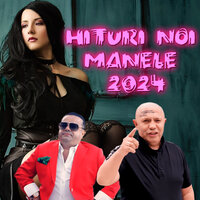 Ultimate Manele Manele 2024 - Florin Salam & Adrian Minune & Nicolae Guta & Vali Vijelie & Stefan de la Barbulesti & Liviu Guta