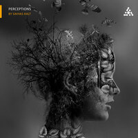 Polvo De Estrella - I.M.D