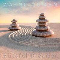 Nebulicity - Wayne Numan