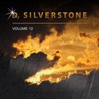 Slow Desert Journey - D. Silverstone