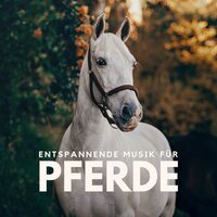 Die Welt der Pferde - Schlaflieder Relax