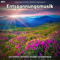 Einschlafmusik - Entspannungsmusik & Schlafmusik & Entspannungsmusik Paul Esgen