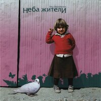 Крылья - Неба жители
