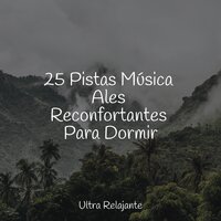 Sonidos Del Aura - Canciones de Cuna 101 & Musica Relajante Para Estudiar & Natureza Musica Bem-Estar Academia
