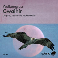 Gwaihir - Wolkengrau & poLYED