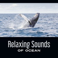 Depth of the Ocean - Soothing Ocean Waves Universe