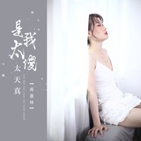 是我太傻太天真 - 蒋蕙林