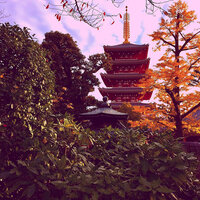 Sunny Moods for Sunday Studies - LoFi Café