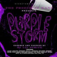 Yall Niggaz Aint Shit (Screwed & Chopped) [feat. ICE, PELON] - THE PREZIDENT KANE & Ice & Pelon