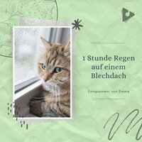 ASMR-Regengeräusche für tiefen Schlaf - Entspannen: von Emma & Geräusche der Natur