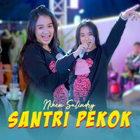 Santri Pekok - Niken Salindry