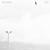 Caminante - Mente Organica