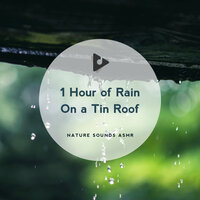 Soft Music for Dogs - Nature Sounds ASMR & Rain Sound Studio