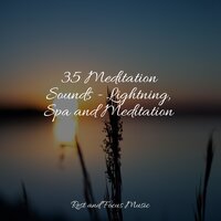 Relax Inside - Exam Study Classical Music & Spa Zen & Classical Lullabies