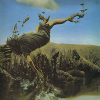 Up and About - Steve Miro