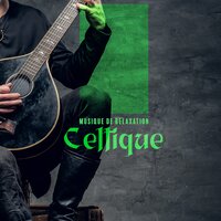 Flûte Traversière Irlandaise - Musique pour Détendre en Temps Libre