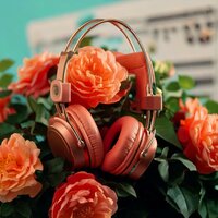 Harmonic Stories in Sound - Lonely Guy & Lotus Flower Therapy & Lounge Bar Ibiza