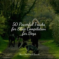 Calming New Age - Sleeping Music For Dogs & Sleep Music For Dogs & Dog Music