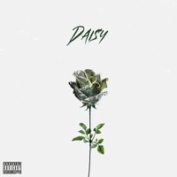 Daisy - Y1