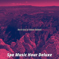 Romantic Serene Spa Treatments - Spa Music Hour Deluxe