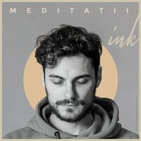 Nimic fără tine - Ink