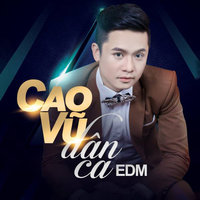 Hinh Bong Que Nha - Cao Vu
