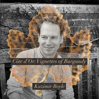 Morbifuge - Kazimir Boyle