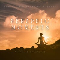 Spa Music Playlist - Spa Music Relaxation Therapy