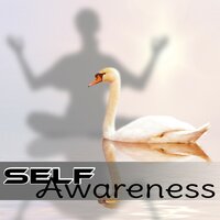 Light Within - Spiritual Enlightenment Unit