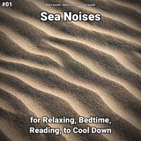 Sea Noises Pt. 21 - Beach Sounds & Nature Sounds & Ocean Sounds