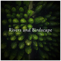 Dawn Chorus Delight - Reiki Tribe & Relaxamento Soundscape & Rain and Thunderstorm Sounds by BNLXA
