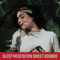 Tranquility - Dream Baby & Music For Absolute Sleep & Soothing Baby Music Zone