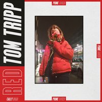 So Shy - Tom Tripp