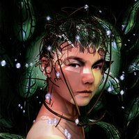 Bachelorette - Björk