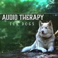 Calm Dog & Deep Sleep - Pet Relax Academy